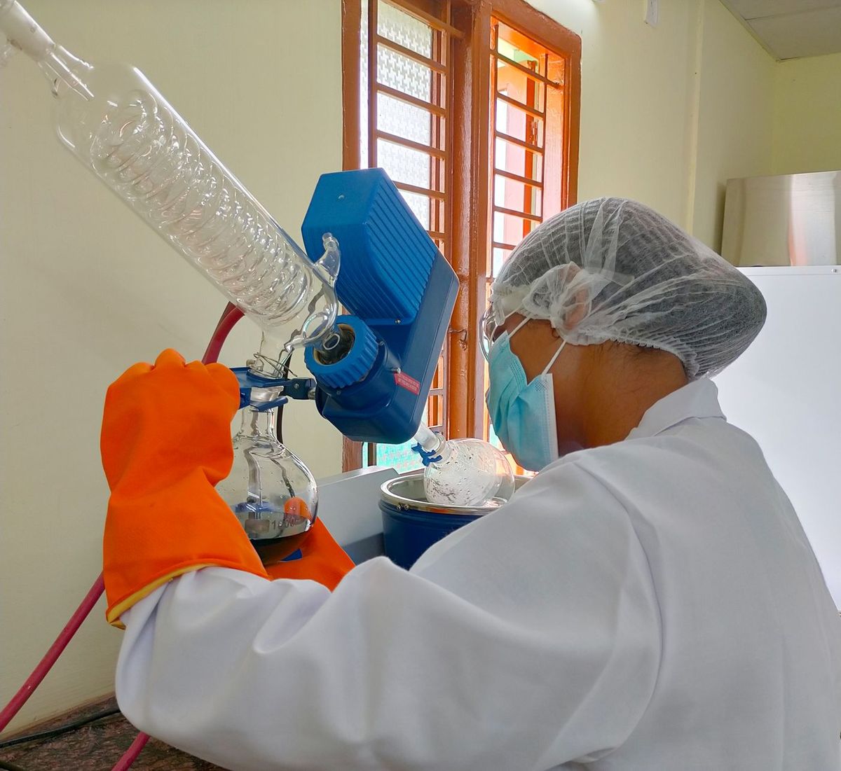 Formulation work in the Nutrialgo laboratory