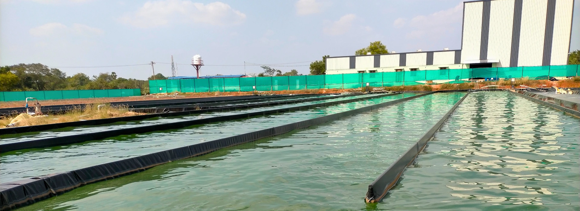 Nutrialgo spirulina cultivation ponds in Karaikudi Tamil Nadu with traceable spirulina production