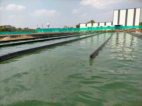 Nutrialgo team member at spirulina cultivation facility in Karaikudi, Tamil Nadu, supporting sustainable and certified spirulina production.