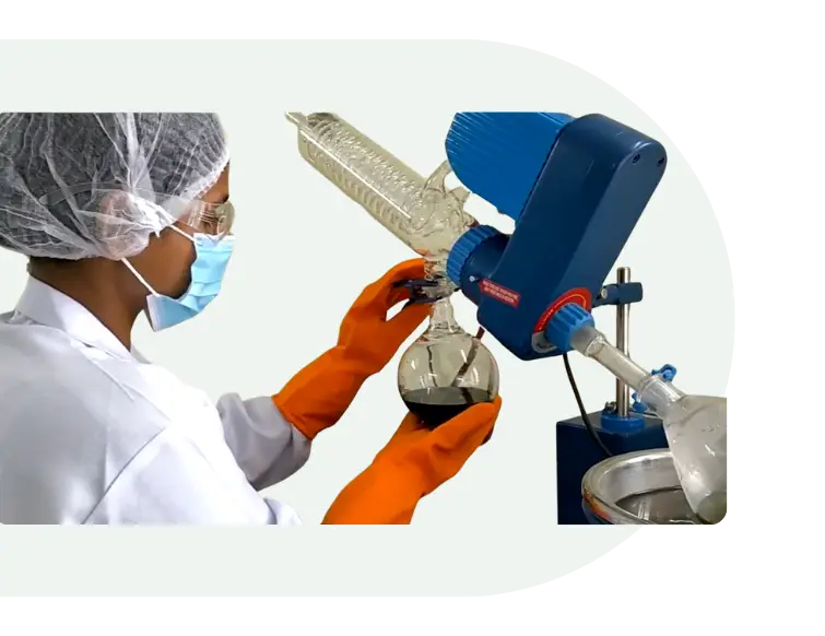 Laboratory technician performing spirulina quality control testing at Nutrialgo's quality assurance laboratory.