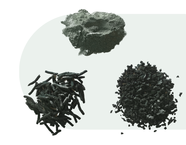 Research and development of spirulina ingredients including powder, granules, and specialty formulations at Nutrialgo