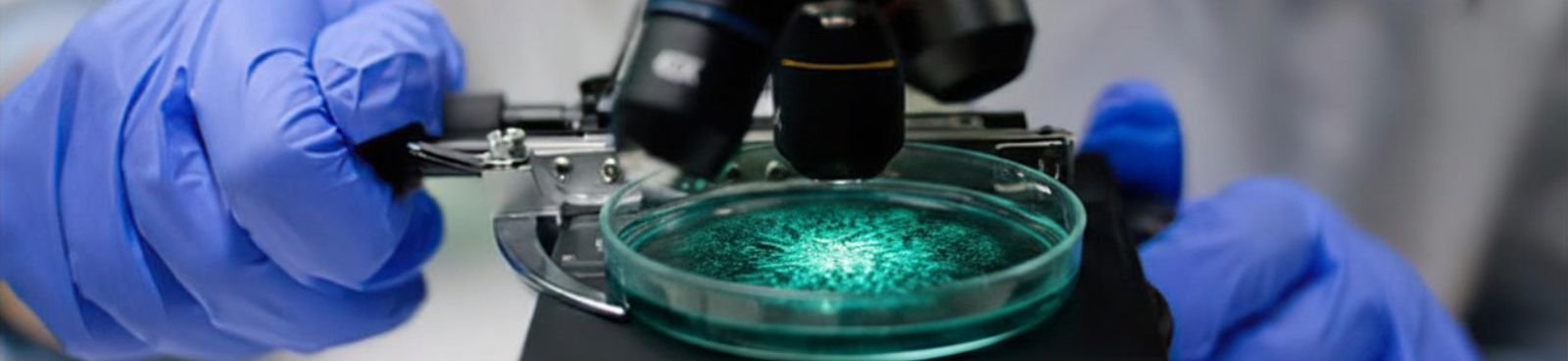 Advanced spirulina research and development laboratory with scientists conducting quality testing and biotechnology innovation at Nutrialgo