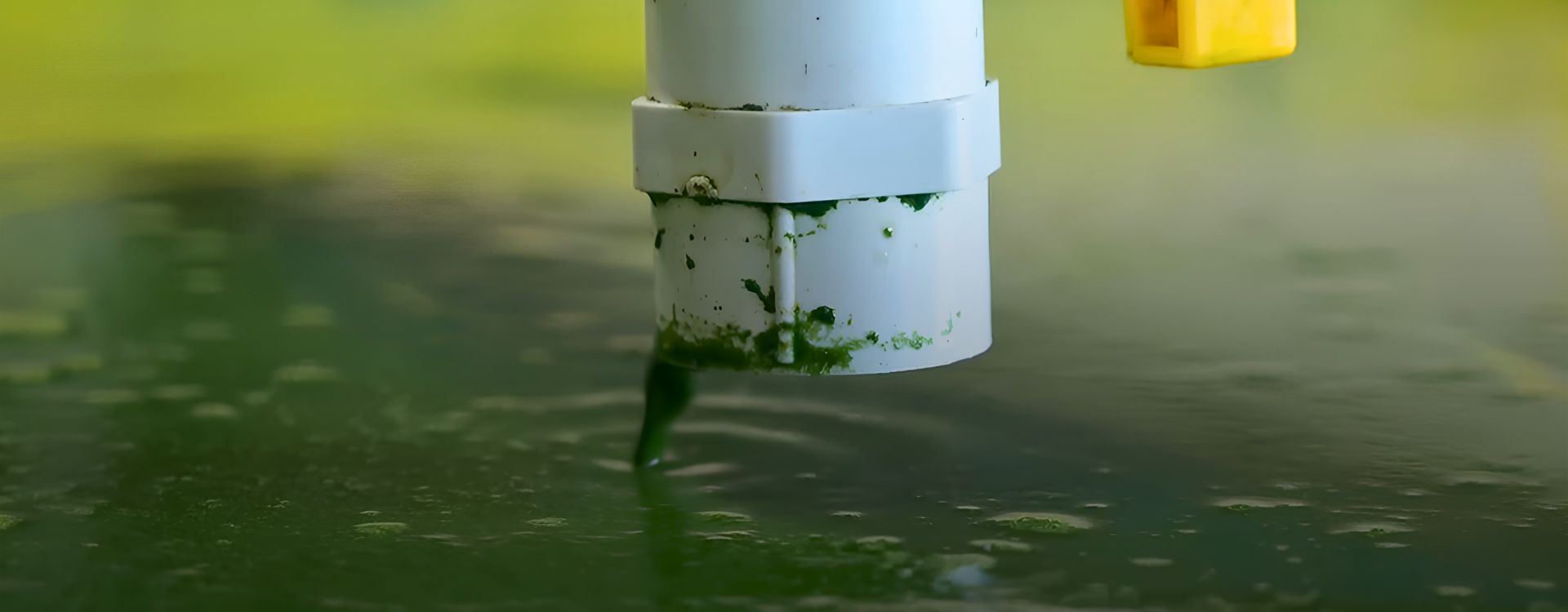 Controlled Spirulina Cultivation Process Fresh organic spirulina flowing through Nutrialgo's controlled cultivation and harvesting system