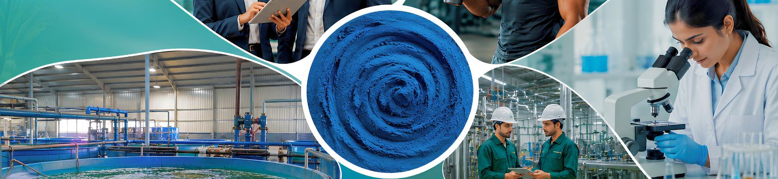 Contact Nutrialgo team at its certified Spirulina manufacturing facility in Karaikudi, Tamil Nadu